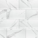 MSI Dymo Statuary Glossy Ceramic Wall Tile 12x24 MSI Dymo Statuary Glossy Ceramic Wall Tile 12x24
