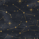 Starry Night Sky Galaxy Peel and Stick Wallpaper Mural Starry Night Sky Galaxy Peel and Stick Wallpaper Mural