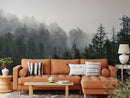 Foggy Pine Trees Forest Wallpaper Foggy Pine Trees Forest Wallpaper