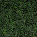 Cannabis Greenery Panel Cannabis Greenery Panel