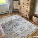 Georgiana Beige Area Rug Georgiana Beige Area Rug