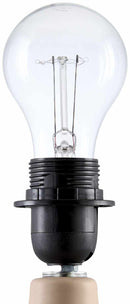 Lumellogno Coral Table Lamp Lumellogno Coral Table Lamp