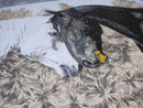 Wild Mosaic Art - Horse Couple Wild Mosaic Art - Horse Couple