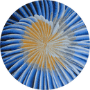 Diva Round Mosaic Vase Diva Round Mosaic Vase