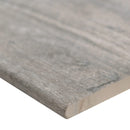 MSI Arterra Lucas Canitia 13"x24" Matte Gray Porcelain Pool Coping MSI Arterra Lucas Canitia 13"x24" Matte Gray Porcelain Pool Coping