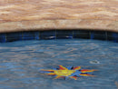MSI-Tuscany-Riviera-Travertine-Pool-Coping-LCOPTRIV1224HUFBR  MSI-Tuscany-Riviera-Travertine-Pool-Coping-LCOPTRIV1224HUFBR