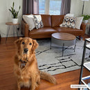 Maguyam Washable Area Rug - Clearance Maguyam Washable Area Rug - Clearance