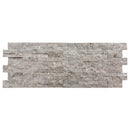 Moon Grey Ledger 3D Panel 6"x24" - Split-face Natural Marble Wall Tile Moon Grey Ledger 3D Panel 6"x24" - Split-face Natural Marble Wall Tile