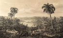 Brazilian Jungle Wall Mural - Peel and Stick Tropical Mural Brazilian Jungle Wall Mural - Peel and Stick Tropical Mural