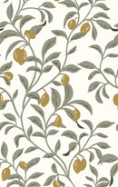 Olive Tree Wallpaper - Mediterranean Chic Style Olive Tree Wallpaper - Mediterranean Chic Style