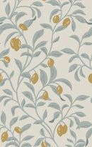 Olive Tree Wallpaper - Mediterranean Chic Style Olive Tree Wallpaper - Mediterranean Chic Style