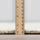 Paloma Area Rug Paloma Area Rug