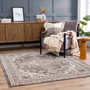 Albie Charcoal & Beige Area Rug - Clearance Albie Charcoal & Beige Area Rug - Clearance