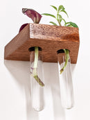 Trapezoid Propagation Station Shelf for Plant Cuttings Trapezoid Propagation Station Shelf for Plant Cuttings