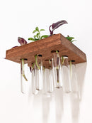 Square Propagation Station Shelf for Plant Cuttings Square Propagation Station Shelf for Plant Cuttings
