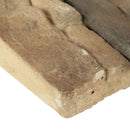 Peninsula earth stacked stone 9x195 natural manufactured stone LPNLEPENEAR6 product shot profile ledger view Peninsula earth stacked stone 9x195 natural manufactured stone LPNLEPENEAR6 product shot profile ledger view