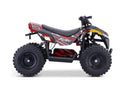 Droyd FURY Electric ATV Droyd FURY Electric ATV