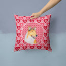 Collie Smooth Hearts Love and Valentine's Day Portrait Throw Pillow - 14x14 Decorative Pillow β Art for Your Home & Patio SS4470PW1414 Collie Smooth Hearts Love and Valentine's Day Portrait Throw Pillow - 14x14 Decorative Pillow β Art for Your Home & Patio SS4470PW1414
