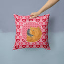 Chow Chow Hearts Love and Valentine's Day Portrait Throw Pillow - 14x14 Decorative Pillow β Art for Your Home & Patio SS4502PW1414 Chow Chow Hearts Love and Valentine's Day Portrait Throw Pillow - 14x14 Decorative Pillow β Art for Your Home & Patio SS4502PW1414