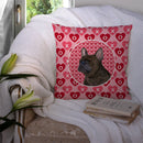 French Bulldog Hearts Love and Valentine's Day Portrait Throw Pillow - 14x14 Decorative Pillow β Art for Your Home & Patio SS4519PW1414 French Bulldog Hearts Love and Valentine's Day Portrait Throw Pillow - 14x14 Decorative Pillow β Art for Your Home & Patio SS4519PW1414