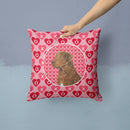 Chesapeake Bay Retriever Hearts Love and Valentine's Day Throw Pillow - 14x14 Decorative Pillow β Art for Your Home & Patio SS4531PW1414 Chesapeake Bay Retriever Hearts Love and Valentine's Day Throw Pillow - 14x14 Decorative Pillow β Art for Your Home & Patio SS4531PW1414