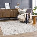 Nyla Bone Indoor & Outdoor Rug - 2x3 Clearance Nyla Bone Indoor & Outdoor Rug - 2x3 Clearance
