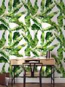 Green Tropical Leaf Wallpaper Green Tropical Leaf Wallpaper