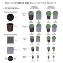 15" Large Wintergreen Topiary Ball 15" Large Wintergreen Topiary Ball