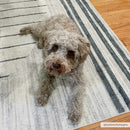 Thad Medium Gray Washable Area Rug Thad Medium Gray Washable Area Rug