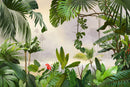 Mural Rainforest Wallpaper - Mangrove Forest Wallpaper Mural Rainforest Wallpaper - Mangrove Forest Wallpaper