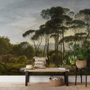 Green Forest Wall Mural - Italian Landscape with Umbrella Pines Green Forest Wall Mural - Italian Landscape with Umbrella Pines