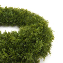 Cypress Wreath - Medium Cypress Wreath - Medium