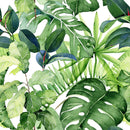 Green Tropical Wallpaper Green Tropical Wallpaper