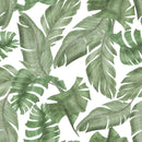 Large Tropical Green Leaves Wallpaper Large Tropical Green Leaves Wallpaper