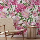 Pink Peony Wallpaper Pink Peony Wallpaper