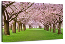 Cherry Blossom Trees Wall Art Cherry Blossom Trees Wall Art