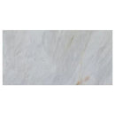 Alpina White Marble Polished Floor and Wall Tile Alpina White Marble Polished Floor and Wall Tile