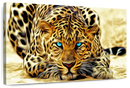 Blue Eyed Jaguar Wall Art Blue Eyed Jaguar Wall Art