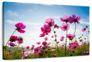 Wild Cosmos Flowers Wall Art Wild Cosmos Flowers Wall Art
