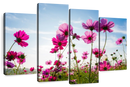 Wild Cosmos Flowers Wall Art Wild Cosmos Flowers Wall Art