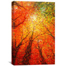 Autumn Glimmer Canvas Autumn Glimmer Canvas