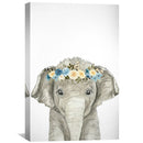Baby Dumbo Canvas Baby Dumbo Canvas