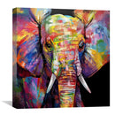 Baby Elephant Canvas Baby Elephant Canvas