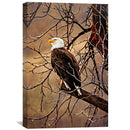 Bald Eagle Canvas Bald Eagle Canvas