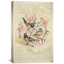 Baltimore Oriole Canvas Baltimore Oriole Canvas
