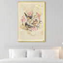 Baltimore Oriole Canvas Baltimore Oriole Canvas