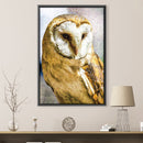 Barn Owl Canvas Barn Owl Canvas