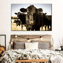 Black Angus Cattle Wall Art Black Angus Cattle Wall Art