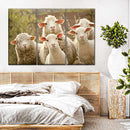 Stunned Sheep Wall Art Stunned Sheep Wall Art