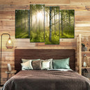 Birch Forest Sunlight Wall Art Birch Forest Sunlight Wall Art
